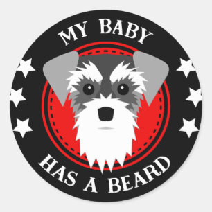 Miniature Schnauzer My Baby Has a Beard Classic Round Sticker