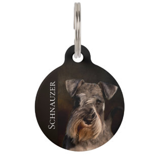 Miniature Schnauzer Pet Tag