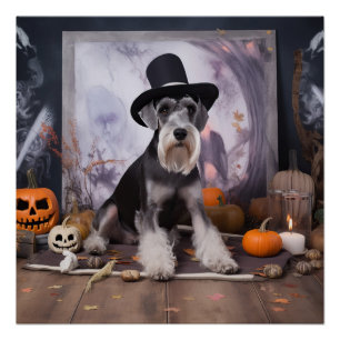 Miniature Schnauzer Pumpkins Halloween Scary  Poster