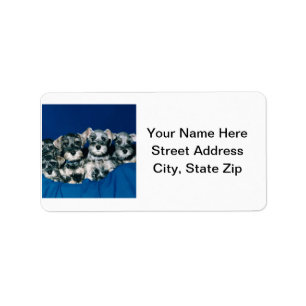 Miniature Schnauzer Puppies Label