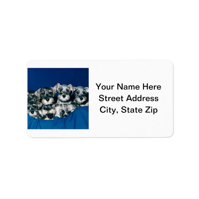 Miniature Schnauzer Puppies Label (Front)