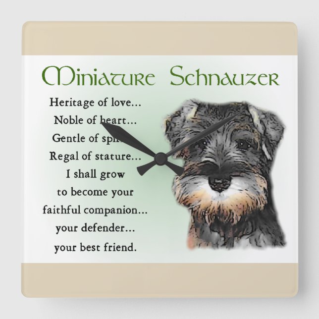 Miniature Schnauzer Puppy Heritage Square Wall Clock (Front)
