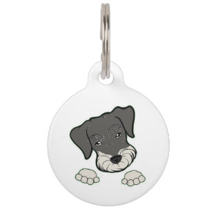 miniature schnauzer salt and pepper peeking pet tag