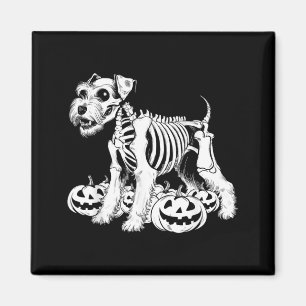 Miniature Schnauzer Skeleton Birthday Halloween Magnet