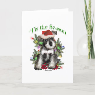 Miniature Schnauzer ‘Tis Holiday Card