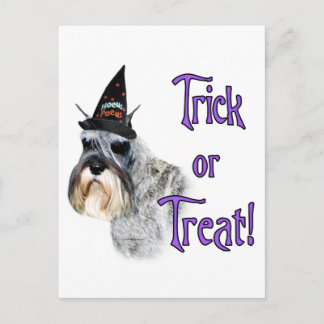 Miniature Schnauzer Trick Postcard