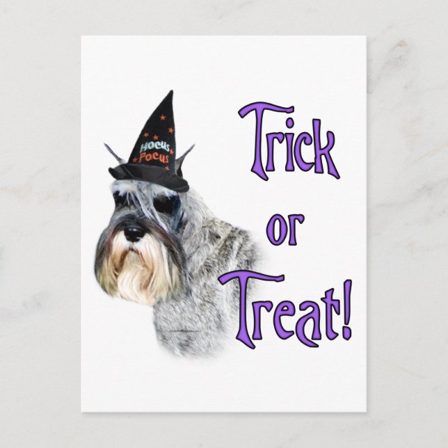 Miniature Schnauzer Trick Postcard (Front)