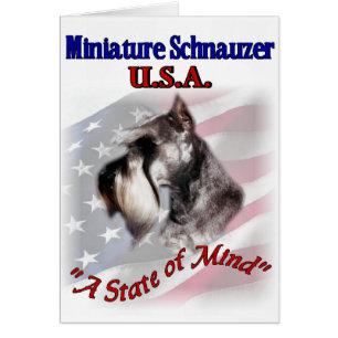 Miniature Schnauzer USA
