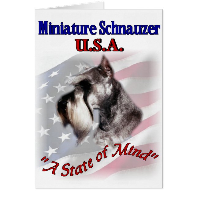 Miniature Schnauzer USA (Front)