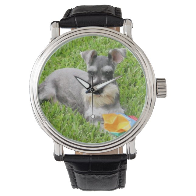 Miniature Schnauzer Wrist Watch (Front)