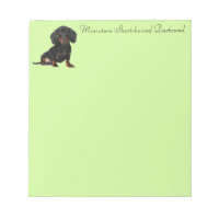 Miniature Short Haired Dachsund