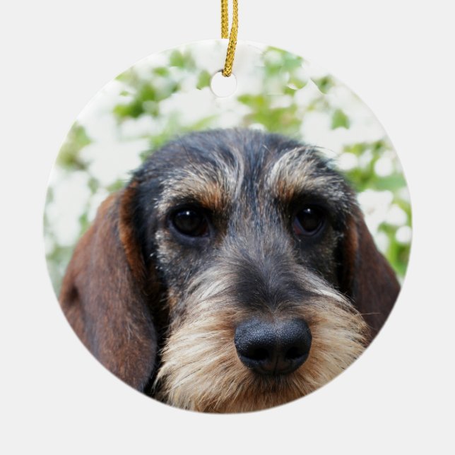 Miniature Wire Haired Dachshund Ceramic Tree Decoration (Front)