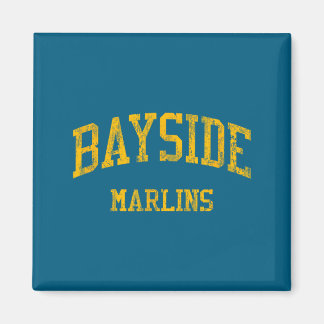 Minimal Bayside High School Hs Virginia Magnet