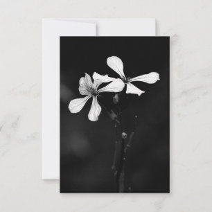 minimal black and white floral