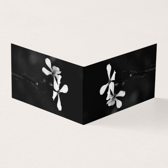 minimal black and white floral (Outside)