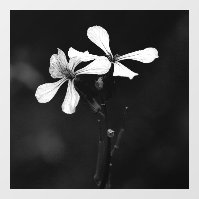 minimal black and white floral (Sheet)