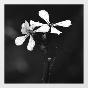 minimal black and white floral