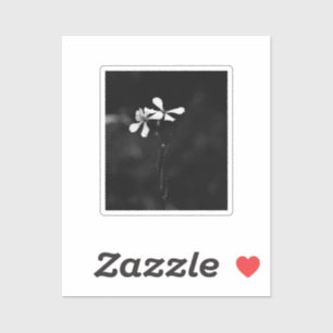 minimal black and white floral