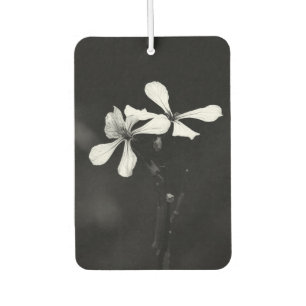 minimal black and white floral car air freshener