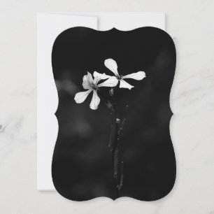 minimal black and white floral card