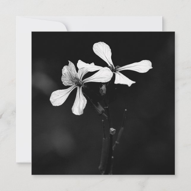 minimal black and white floral card (Front)
