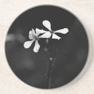 minimal black and white floral coaster