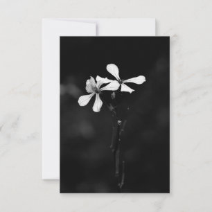 minimal black and white floral invitation