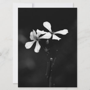 minimal black and white floral invitation