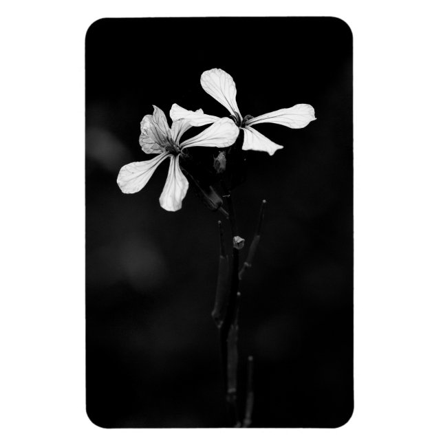 minimal black and white floral magnet (Vertical)