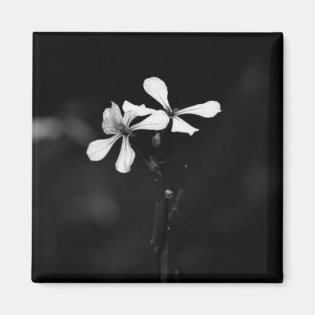 minimal black and white floral magnet (Front)