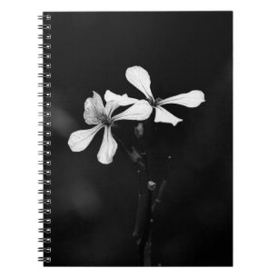minimal black and white floral notebook