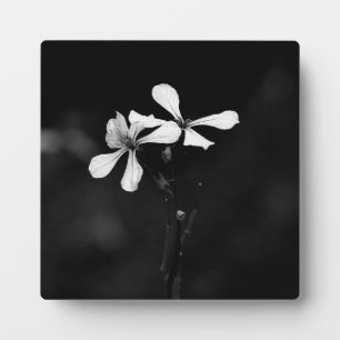 minimal black and white floral plaque