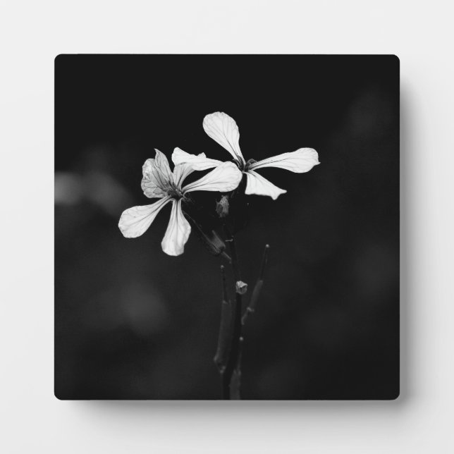 minimal black and white floral plaque (Front)