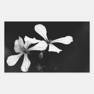 minimal black and white floral rectangular sticker