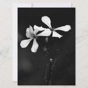minimal black and white floral save the date