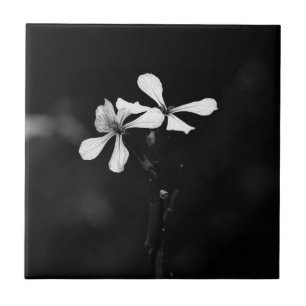 minimal black and white floral tile