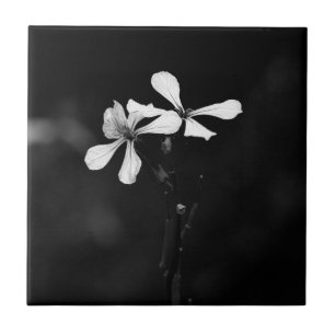 minimal black and white floral tile