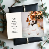 Minimal Bow Cute Saying Pet Christmas Photo