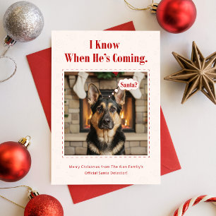 Minimal Cute Dog Funny Pet Photo Christmas Holiday Card
