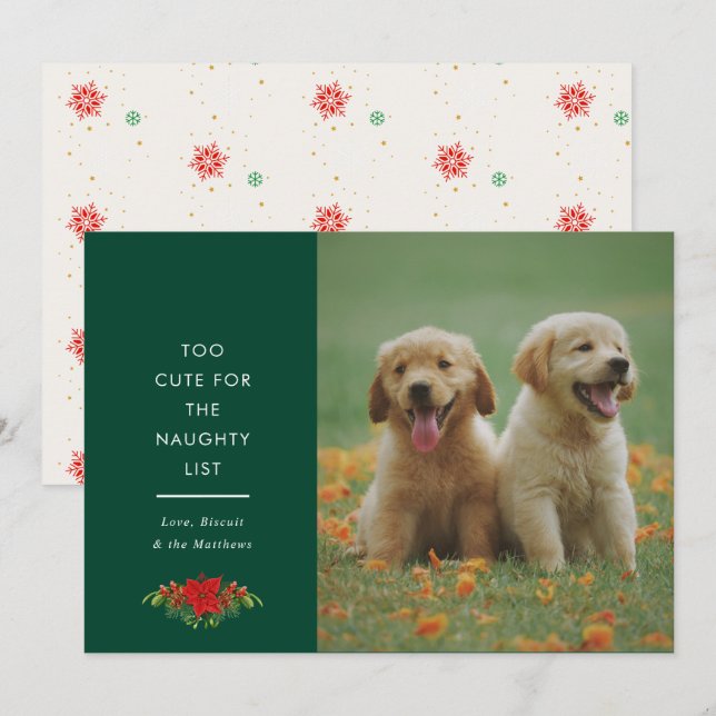 Minimal Cute Saying Pet Christmas Photo  Holiday Card (Front/Back)