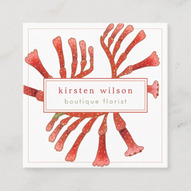 Minimal, Elegant Kangaroo Paw Flowers  Square Busi Business Card (Front)