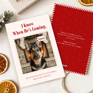 Minimal Funny Adorable Dog Pet Photo Christmas Holiday Card