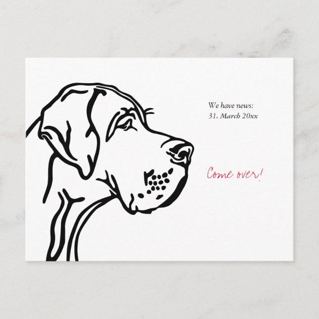 minimal Great Dane drawing announcement  Postcard (Front)