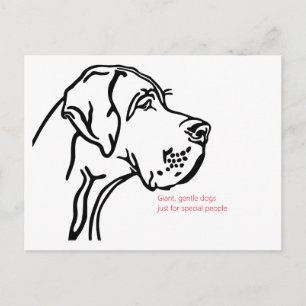 minimal Great Dane drawing Postcard