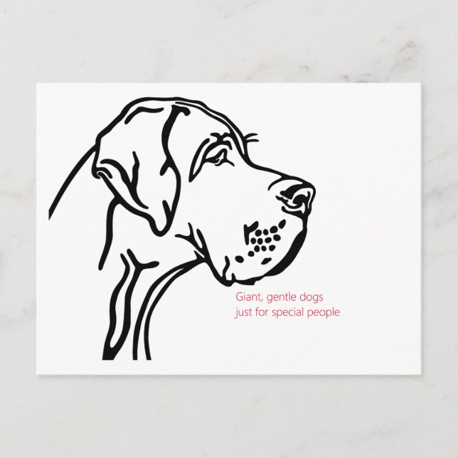 minimal Great Dane drawing Postcard (Front)