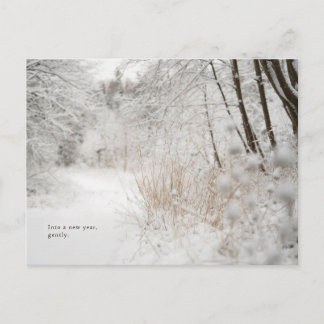 Minimal Winter Forest Path, New Year Holiday Postcard