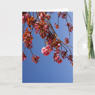 Minimalism Pink Flowers Cherry Blossom Love Hope Card