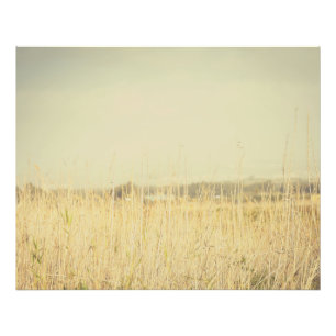 Minimalist Abstract Nature – Calming Wall Art
