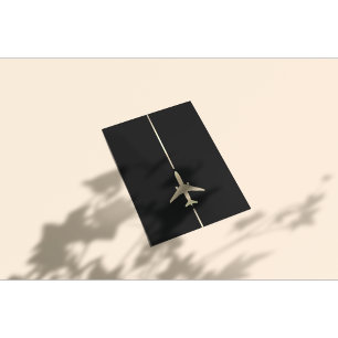 Minimalist Aviation Flyer