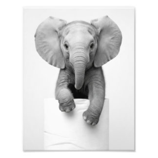 Minimalist Baby Elephant Peeking Over Toilet Paper Photo Print
